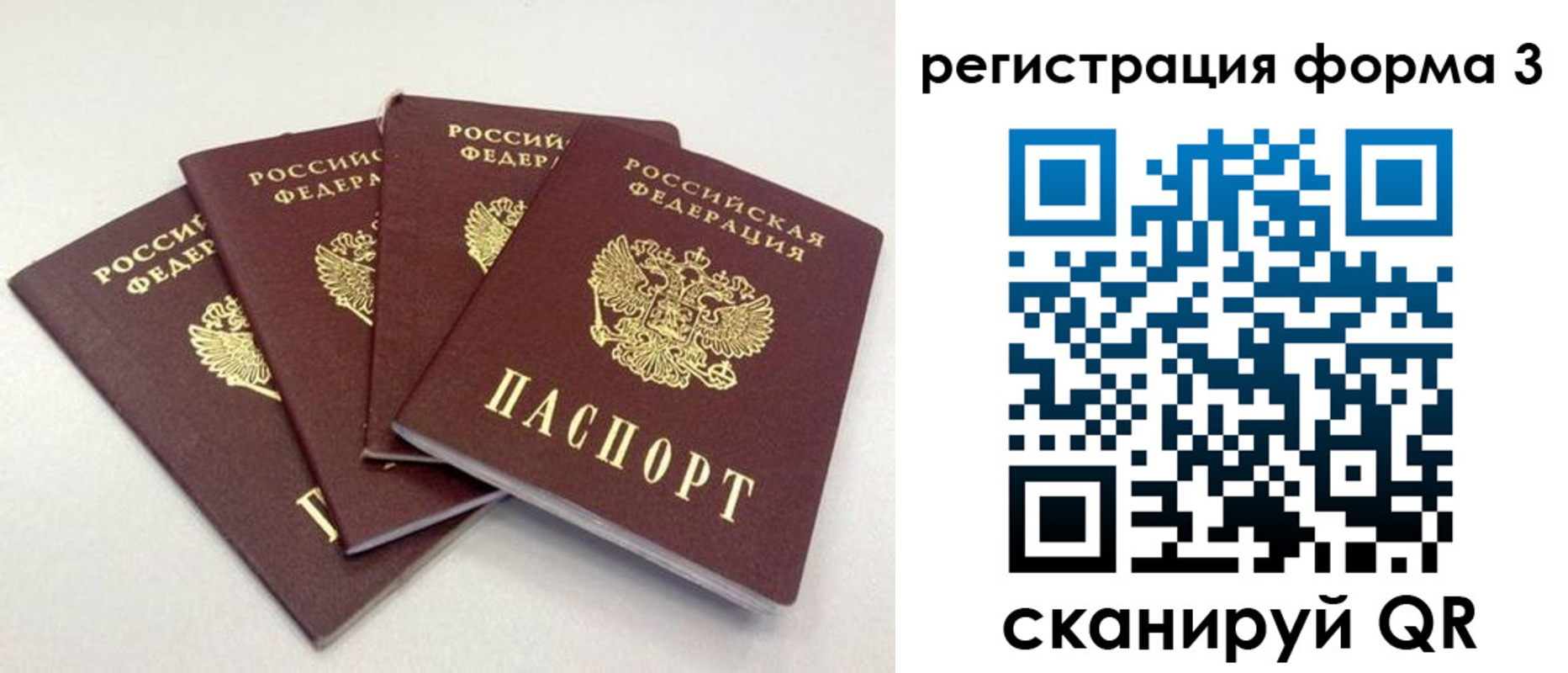 прописка 2025 в Добрянке
